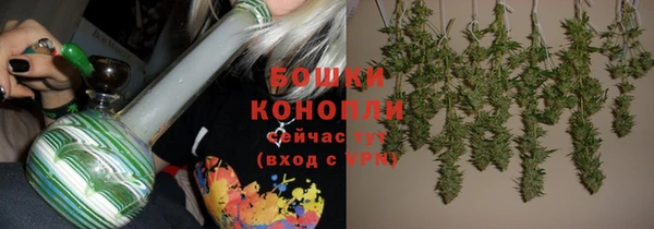 МДМА Новозыбков