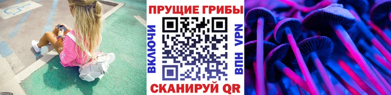 Галлюциногенные грибы Magic Shrooms Константиновск