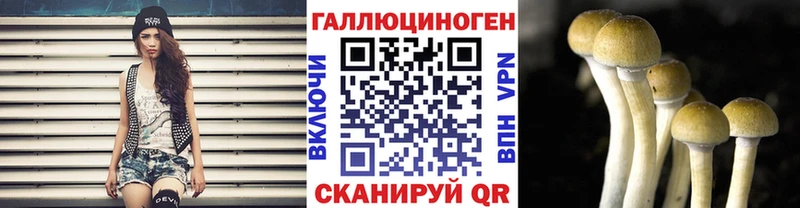 Псилоцибиновые грибы прущие грибы Константиновск